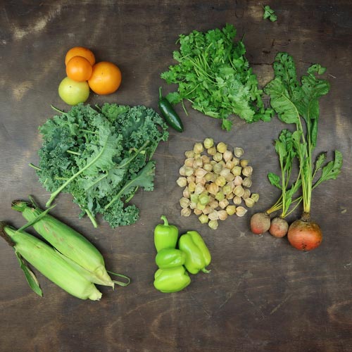 20225-csa-week-17-share