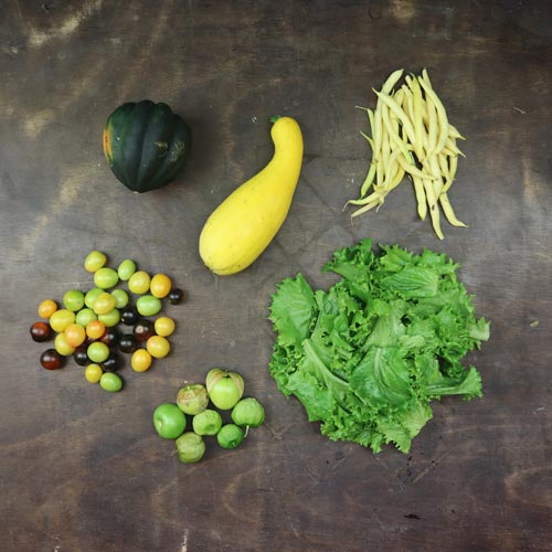 2025-csa-week-18-share