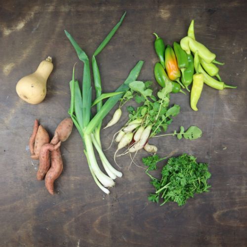 2025-csa-week-28-share