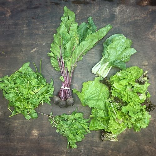 2026-csa-week-3-share