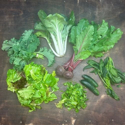 2022-csa-week-3-share