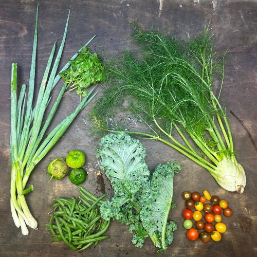 2026-csa-week-15-share