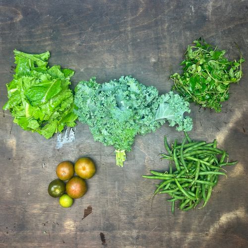 2022-csa-week-3-share