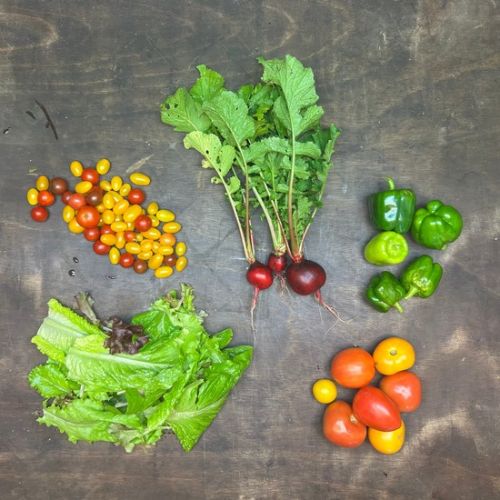 2026-csa-week-25-share