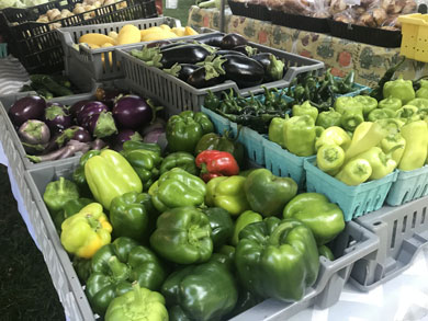 peppers-eggplant-medina-farmers-market.jpg