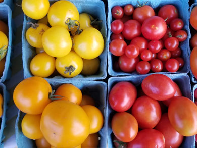 tomatoes-medina-farmers-market