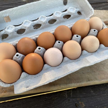 Online Store | Front 9 Farm